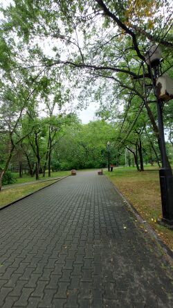 Парк Динамо в Хабаровске
