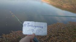 Сходить на рыбалку