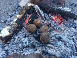 Приготовить «картофель в мундире» на углях